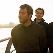 Doves - List pictures