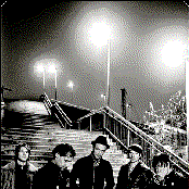 Donots - List pictures