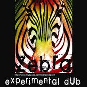 Zebra - List pictures