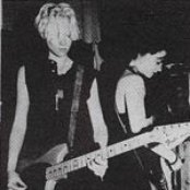 Geko - List pictures