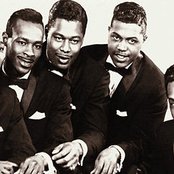 The Contours - List pictures
