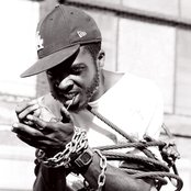 Nocando - List pictures