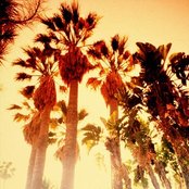 Hole - List pictures