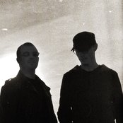 Black Lab - List pictures