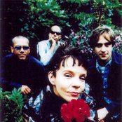 Drugstore - List pictures