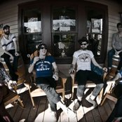 Treetop Flyers - List pictures