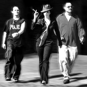 Lovage - List pictures