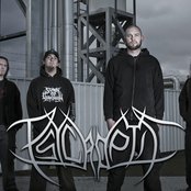 Psycroptic - List pictures
