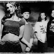 The Cranes - List pictures