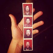 Painted Palms - List pictures