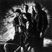 Temple Of The Dog - List pictures