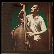 Lilium - List pictures