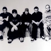 Limp Bizkit - List pictures