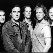 Krokus - List pictures