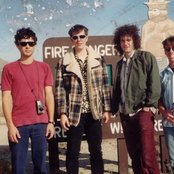 Custard - List pictures