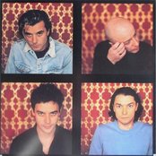 Bush - List pictures