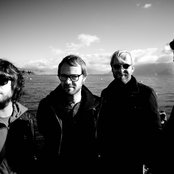 Moss - List pictures