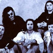 Timoria - List pictures