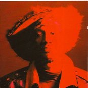 Bernie Worrell - List pictures