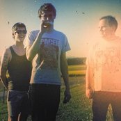 Spraynard - List pictures