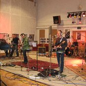 Wrens - List pictures