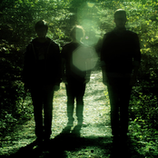 Native Construct - List pictures