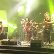 Sleepytime Gorilla Museum - List pictures