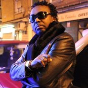 Dareysteel - List pictures