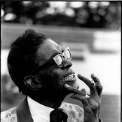 Lightnin' Hopkins - List pictures
