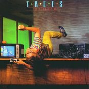 Trees - List pictures