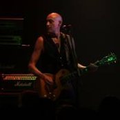 Praying Mantis - List pictures