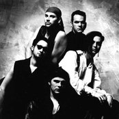 Dreadful Shadows - List pictures