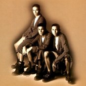 3t - List pictures