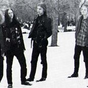 Dawn - List pictures