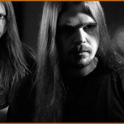 Vintersorg - List pictures