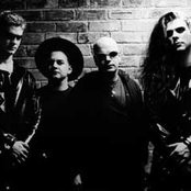 Diary Of Dreams - List pictures