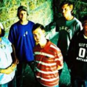 Shapeshifter - List pictures