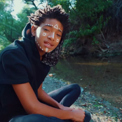 Willow - List pictures