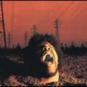 Redman - List pictures