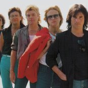 Survivor - List pictures