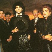 Wall Of Voodoo - List pictures