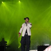 Shaggy - List pictures