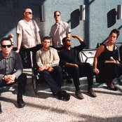 Tortoise - List pictures