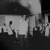 Lotus - List pictures