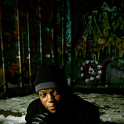 Lee Fields - List pictures