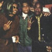 Digital Underground - List pictures