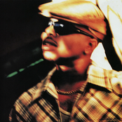 Domino - List pictures