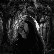 Wolfenhords - List pictures