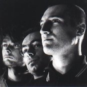 Molodoi - List pictures