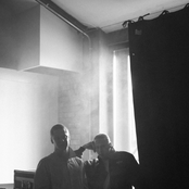 Jungle - List pictures